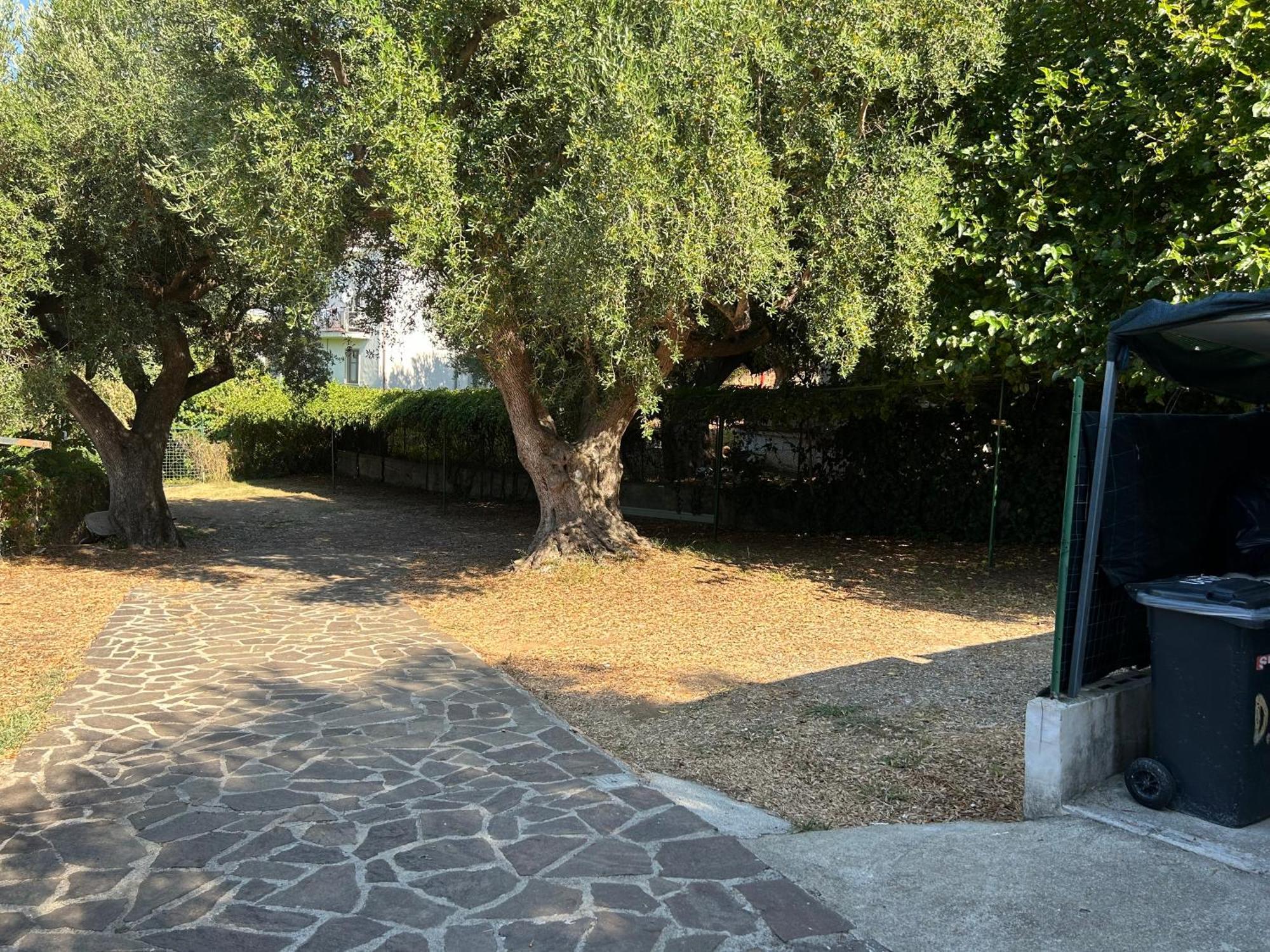 Case Vacanza Da Domingo Marina di Camerota Dış mekan fotoğraf