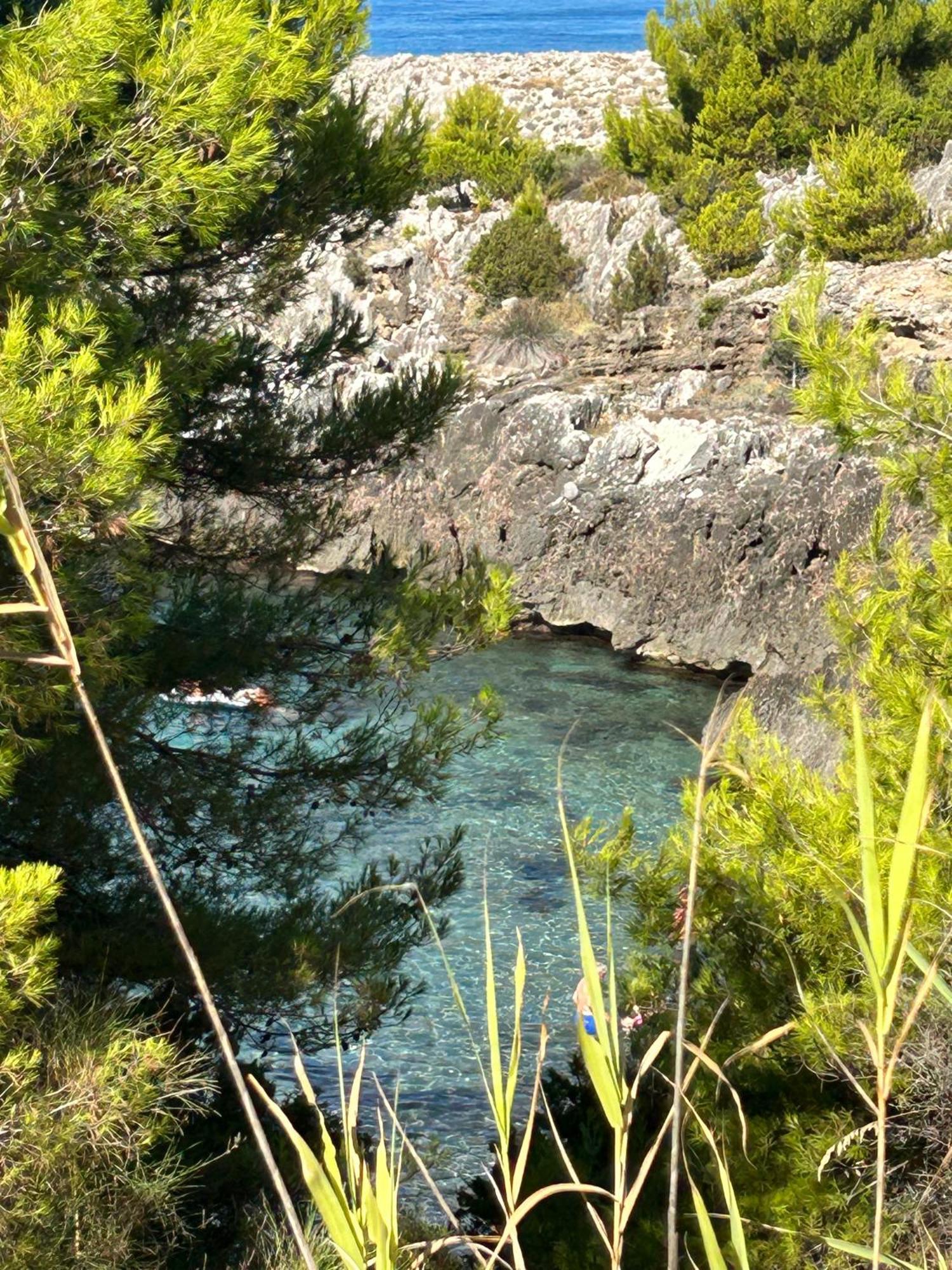 Case Vacanza Da Domingo Marina di Camerota Dış mekan fotoğraf